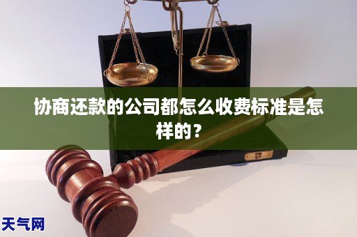 协商还款的公司都怎么收费标准是怎样的？