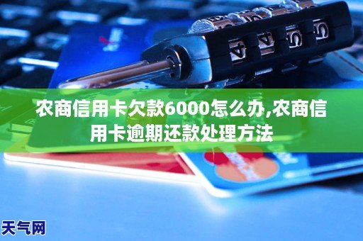 农商信用卡欠款8000怎么办,农商信用卡逾期还款方法