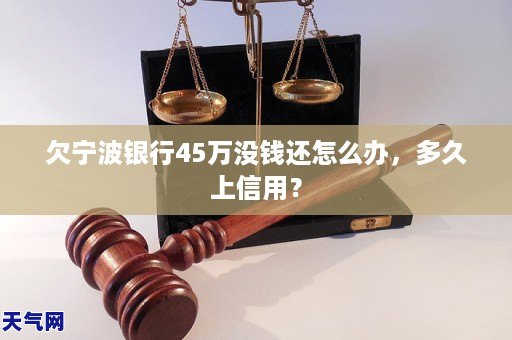 欠宁波银行45万没钱还怎么办，多久上信用？