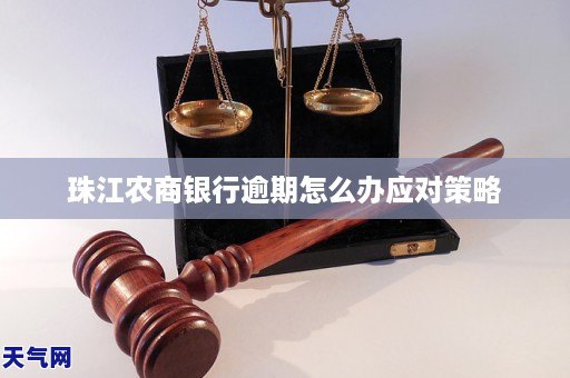 珠江农商银行逾期怎么办应对策略