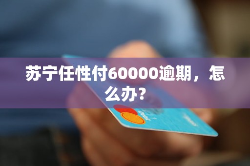 苏宁任性付60000逾期，怎么办？