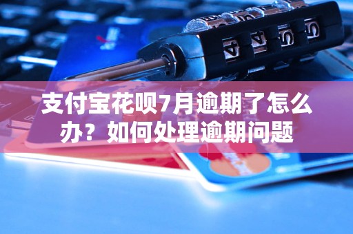 支付宝花呗7月逾期了怎么办？如何处理逾期问题