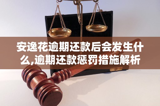 安逸花逾期还款后会发生什么,逾期还款惩罚措施解析