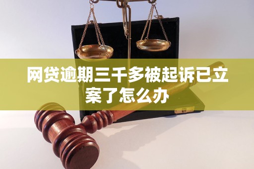 网贷逾期三千多被起诉已立案了怎么办