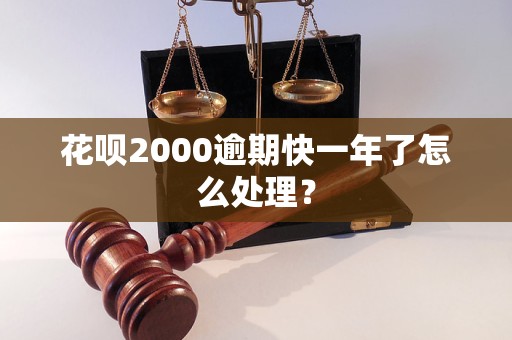 花呗2000逾期快一年了怎么处理？