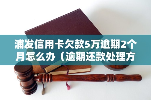 浦发信用卡欠款5万逾期2个月怎么办（逾期还款处理方法）