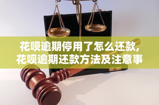 花呗逾期停用了怎么还款,花呗逾期还款     及注意事项