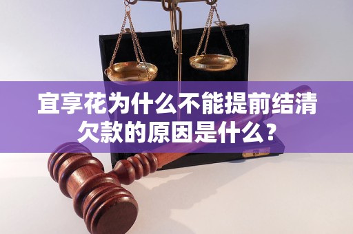 宜享花为什么不能提前结清欠款的原因是什么？