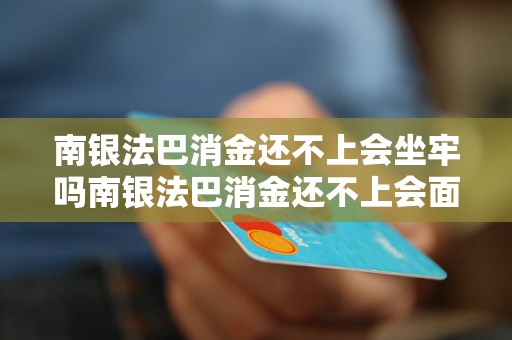 南银法巴消金还不上会坐牢吗南银法巴消金还不上会面临哪些后果？