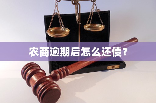 农商逾期后怎么还债？