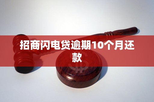 招商闪电贷逾期10个月还款