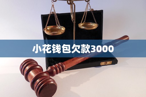 小花钱包欠款3000