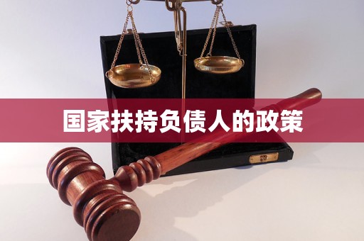 国家扶持负债人的政策