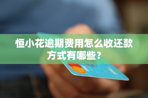 恒小花逾期费用怎么收还款方式有哪些？