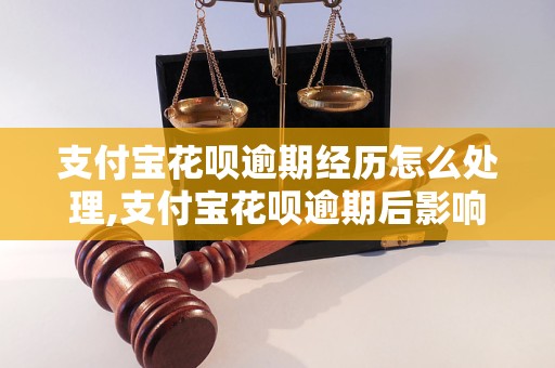 支付宝花呗逾期经历怎么处理,支付宝花呗逾期后影响及解决办法