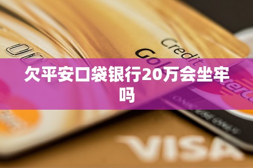 欠平安口袋银行20万会坐牢吗