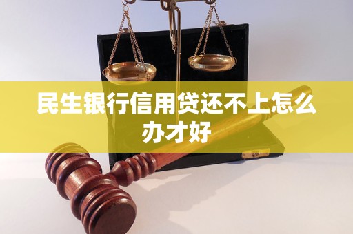 民生银行信用贷还不上怎么办才好