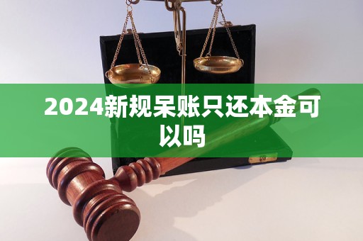 2024新规呆账只还本金可以吗