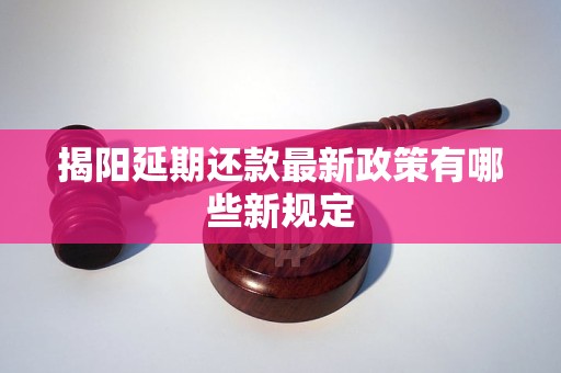 揭阳延期还款最新政策有哪些新规定