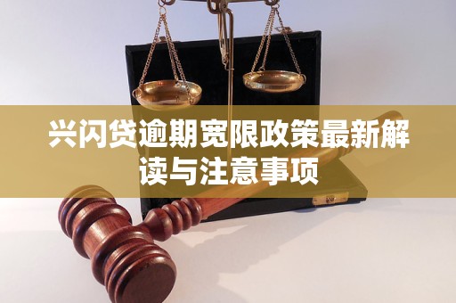 兴闪贷逾期宽限政策最新解读与注意事项