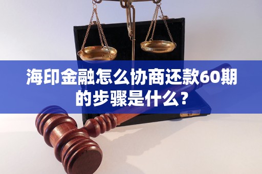 海印金融怎么协商还款60期的步骤是什么？