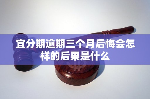 宜分期逾期三个月后悔会怎样的后果是什么