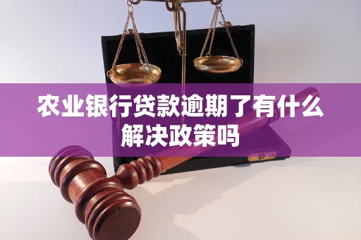 农业银行贷款逾期了有什么解决政策吗