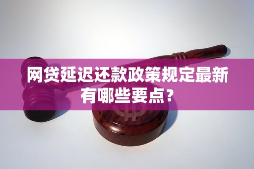 网贷延迟还款政策规定最新有哪些要点？