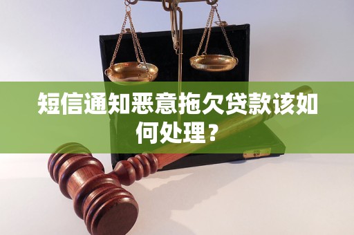 短信通知恶意拖欠贷款该如何处理？