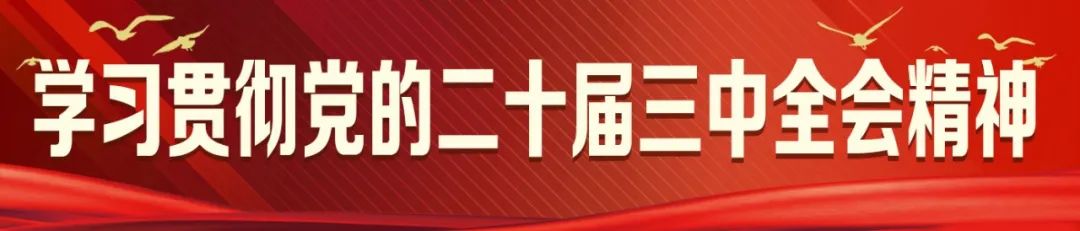 权威解读·三中全会精神之一丨聚焦构建高水平社会主义市场经济体制