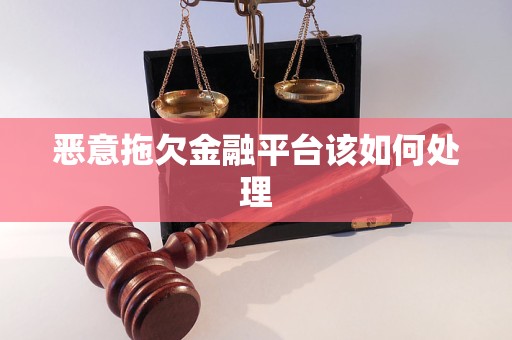 恶意拖欠金融平台该如何处理