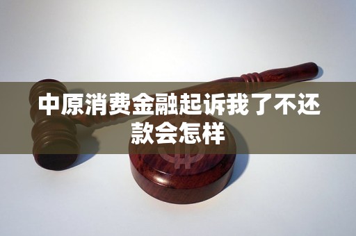 中原消费金融起诉我了不还款会怎样