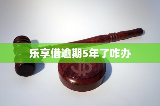 乐享借逾期5年了咋办