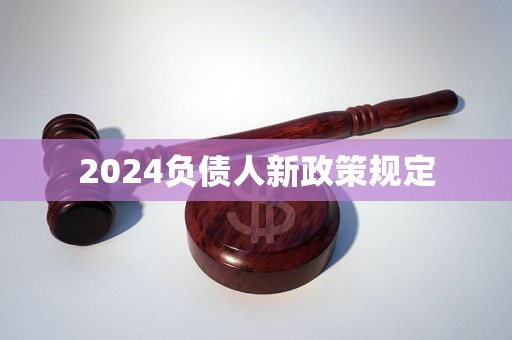 2024负债人新政策规定