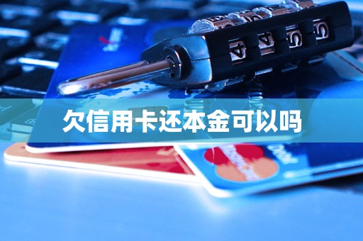 欠信用卡还本金可以吗