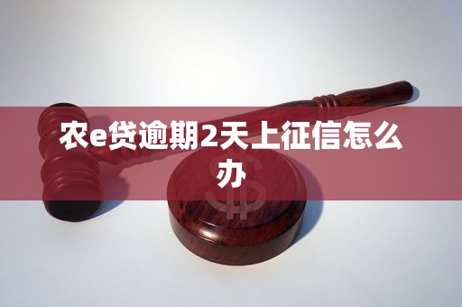 农e贷逾期2天上征信怎么办