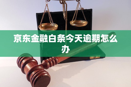 京东金融白条今天逾期怎么办