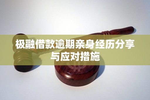 极融借款逾期亲身经历分享与应对措施