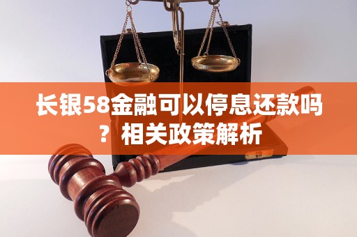 长银58金融可以停息还款吗？相关政策解析