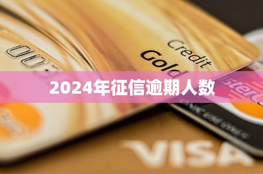 2024年征信逾期人数