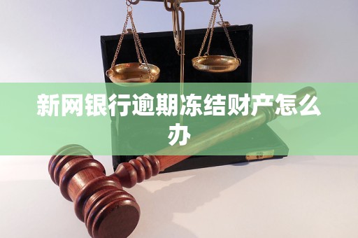 新网银行逾期冻结财产怎么办