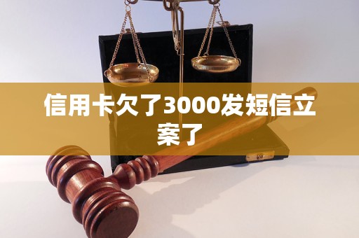 信用卡欠了3000发短信立案了