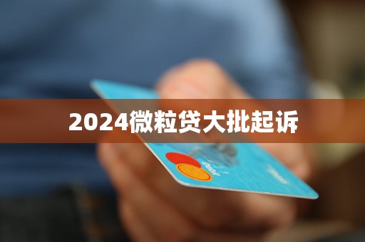 2024微粒贷大批起诉