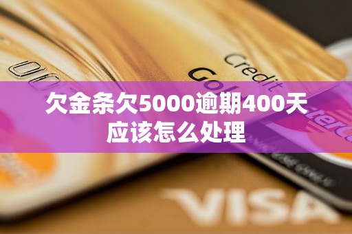 欠金条欠5000逾期400天应该怎么处理