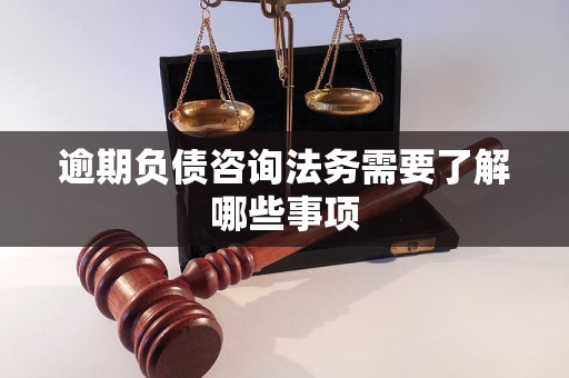 逾期负债咨询法务需要了解哪些事项