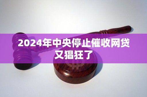 2024年中央停止催收网贷又猖狂了