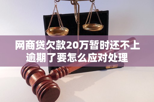 网商贷欠款20万暂时还不上逾期了要怎么应对处理