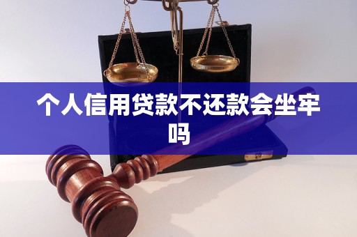 个人信用贷款不还款会坐牢吗