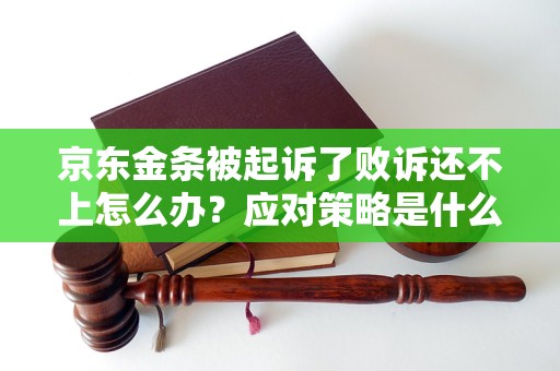 京东金条被起诉了败诉还不上怎么办？应对策略是什么