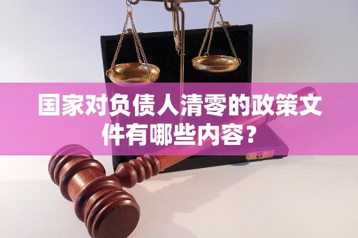 国家对负债人清零的政策文件有哪些内容？